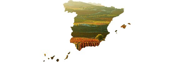 1- Vinos Nacionales